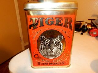 Vintage Large Tiger Chewing Tobacco 5 Cent Tin