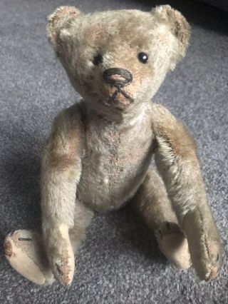 10” Early Antique Steiff Teddy Bear Shoe Button Eyes Soulful Face Must C Buy Now