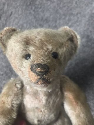 10” Early ANTIQUE STEIFF TEDDY BEAR Shoe Button Eyes Soulful Face Must C Buy Now 2