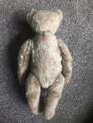 10” Early ANTIQUE STEIFF TEDDY BEAR Shoe Button Eyes Soulful Face Must C Buy Now 3