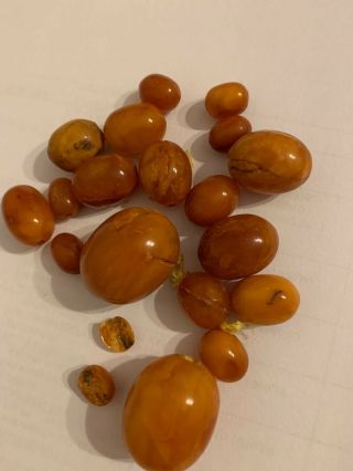 33g Antique Natural Baltic Butterscotch Egg Yolk Amber Beads Necklace 2