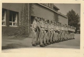 Vintage Photograph,  Semi - Nude Young Soldiers,  Gas Mask,  Gay Interest