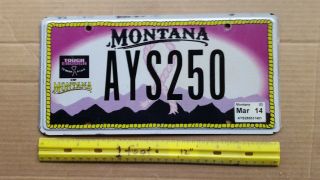 License Plate,  Montana,  Tough Enough To Wear Pink,  Ays 250