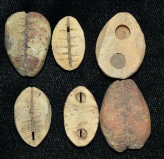 Set Of 6 Ancient Chinese " Cowrie Shell " Money Coins/beads 1750 - 1150 Bc R58