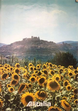 Org Vtg Alitalia Airlines Sunflower Field Umbria,  Italy Travel & Tourism Poster