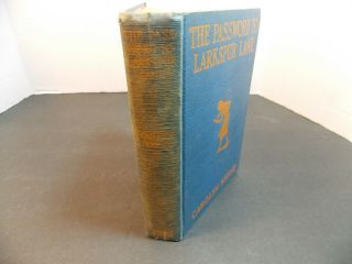 THE PASSWORD TO LARKSPUR LANE 1933 Carolyn Keene Nancy Drew 1933 Grosset &Dunlap 2