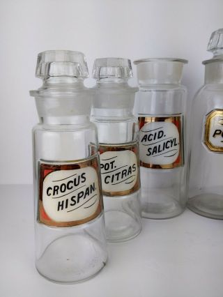 Antique Apothecary Pharmacy Chemist Medicine Glass Bottle Jar Set of 6 2