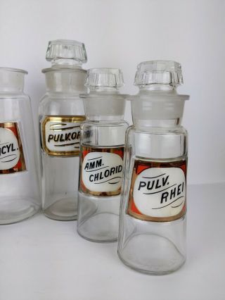 Antique Apothecary Pharmacy Chemist Medicine Glass Bottle Jar Set of 6 3