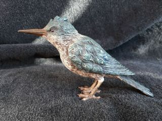 Vienna Bronze Kingfisher Bird - Franz Bergman Signed - Cold Painted - 800 Gram