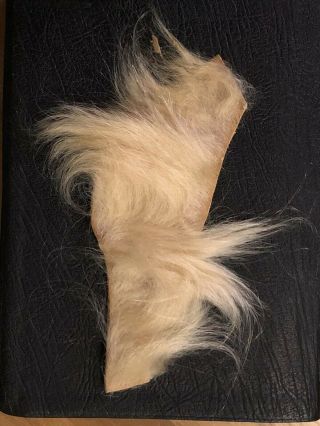 Vintage Polar Bear Hair For Fly Tying