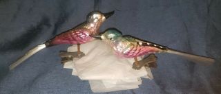 2 Antique Christmas Hand Painted Detailed Blown Mercury Glass Birds On Clips