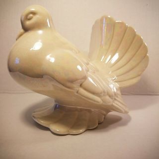 Vintage Stephen F Austin State University - 1974 Dewitt - Ceramic Lusterware Dove