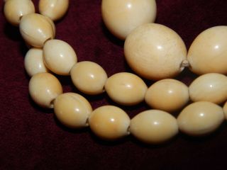 LONG ANTIQUE CHINESE OVAL CARVED BOVINE BONE BEAD NECKLACE - 87g 39 