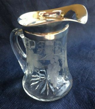 Rare Sterling Silver Grape Vine Pattern Etched Crystal Pitcher - Merrill Shops Ny