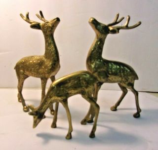 Vintage Set Of 3 Solid Brass Standing Deer Reindeer (2 Bucks And A Doe) 8 1/2 "
