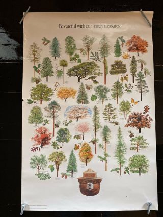 Vintage 1980’s Smokey Bear Poster 20”x 30” Be Careful With Our Stately Treasures