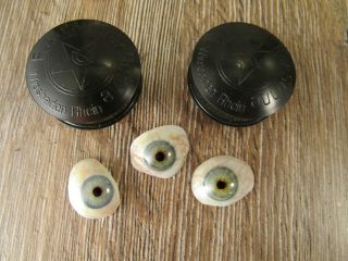 , Rare,  German Human Prosthetic Glass Eyes Lauscha / Germany Bakelite Case