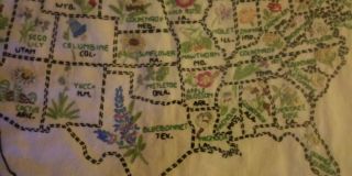 Folk Art - Vintage Paragon 48 U.  S.  Flower Map Embroidered Sampler.  Great Cond 2