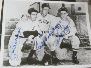 Joe Dimaggio,  Ted Williams,  Dom Dimaggio Baseball Stars Autographed 8x10 Photo Psa