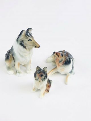3 Vintage Miniature Bone China Collie Dog Family Figurine Porcelain
