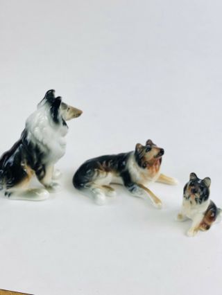 3 Vintage Miniature Bone China Collie Dog Family Figurine Porcelain 2