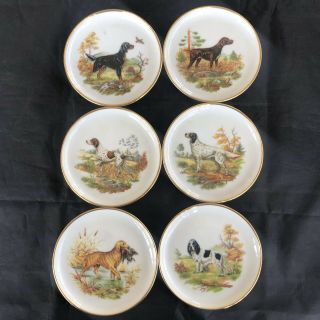 Vtg Set (6) Kaiser W.  Germany Porcelain Coaster Butter Dish Hunting Dogs Breeds