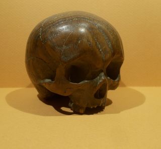 Antique Memento Mori Skull Vanitas Macabre Nb 1