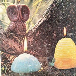 Vintage Candle Making Craft Kit Mushroom Owl Molds 1970 