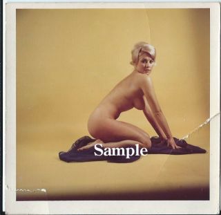 8 Teri Martine - Legendary U.  K.  Model Photo Size 3.  5 X 3.  5 Nude Kneeling - Vintage