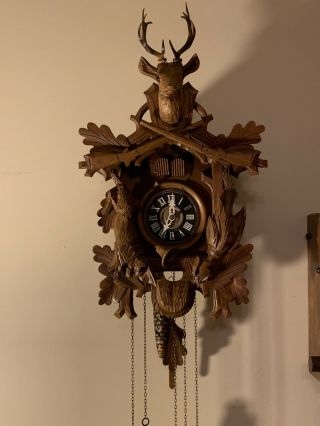 Antique Cuendet Black Walnut Cuckoo Clock w/music box,  Rabbit,  Rifle,  Hunt Scene 2