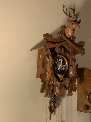 Antique Cuendet Black Walnut Cuckoo Clock w/music box,  Rabbit,  Rifle,  Hunt Scene 3
