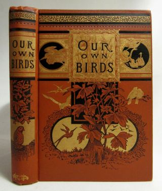 Antique 1869 Our Own Birds Natural History Ornithology Of America William Bailey