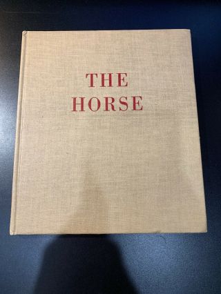 Vintage The Horse Paul Brown 1943 1st Edition Rare