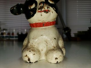 Vintage Hubley Cast Iron Still Bank - - Fido Dog w/original paint 2