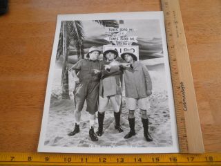 The 3 Three Stooges Vintage 8x10 Photo Lobby B&w Tunis Sign Pointing