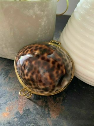 Vtg Tiger Cowrie Sea Shell Container Trinket Bohemian Gold Brown Boho Natural
