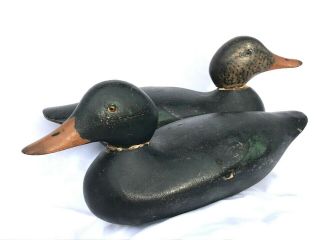 2 Antique Mason Duck Decoy Mallard Or Black Duck Vintage Set Pair