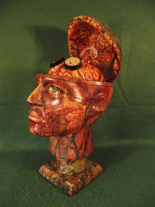 Antique Vintage Style Anatomical Head Zombie Steampunk Skull Anatomy Sculpture
