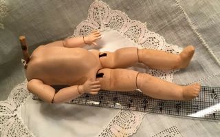 Antique/vintage 11 " Composition Doll Body - Fully Jointed - For Bisque Socket Head