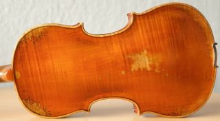 Old Violin 4/4 Geige Viola Cello Fiddle Label Francesco Ruggieri