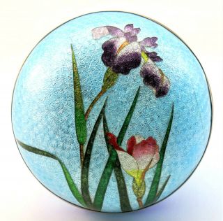 C1900,  Antique Meiji Japanese Ginbari Iris Design Cloisonne Box,  Jar & Cover
