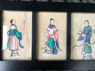 Antique Chinese Watercolor Paintings On Pith Rice Paper Set Of 3,  Framed