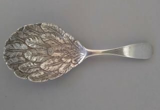 1814 George Iii English Sterling Silver Tea Caddy Spoon Feathers Joseph Willmore