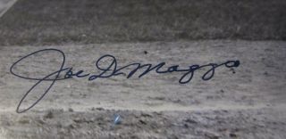 Joe Dimaggio Signed / Autographed 16x20 Photo Psa/dna Loa