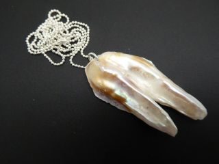 Vintage White Biwa Blister Pearl Shell Sterling Pendant Necklace Sp Chain 24 "