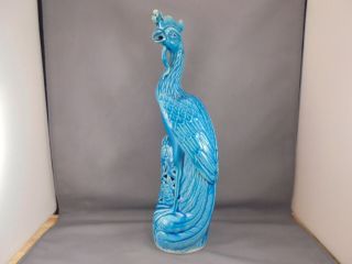 Antique Chinese Export Porcelain Turquoise Blue Lg Phoenix Bird Figure 12 1/8 "