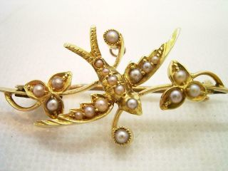 Fine Antique Edwardian 15ct Gold Natural Seed Pearl Flying Swallow Brooch