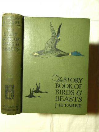 The Story Book Of Birds & Beasts By J.  H.  Fabre - Presumed 1st Hb C1920 (ex - Lib)