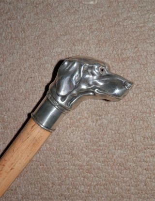 Antique Hallmarked Silver Hound Dog Head Walking Stick 