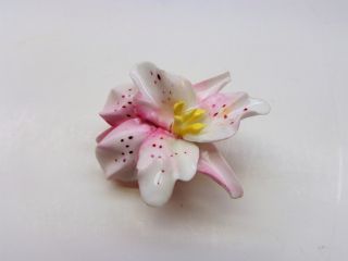 Vintage Royal Adderley & Dresden Floral China Flower Brooch Pin Earrings England 3